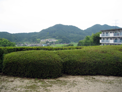 鹿沼写真2