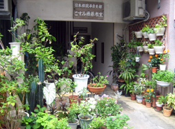宮古写真1