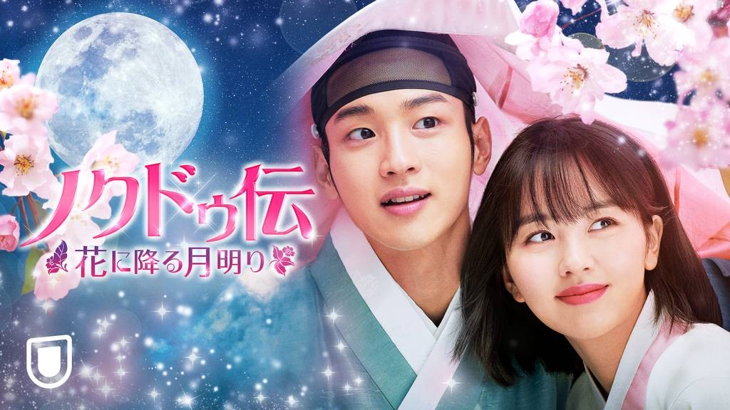 ノクドゥ伝-花に降る月明り-