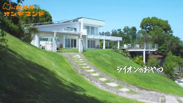 ライオンのおやつ