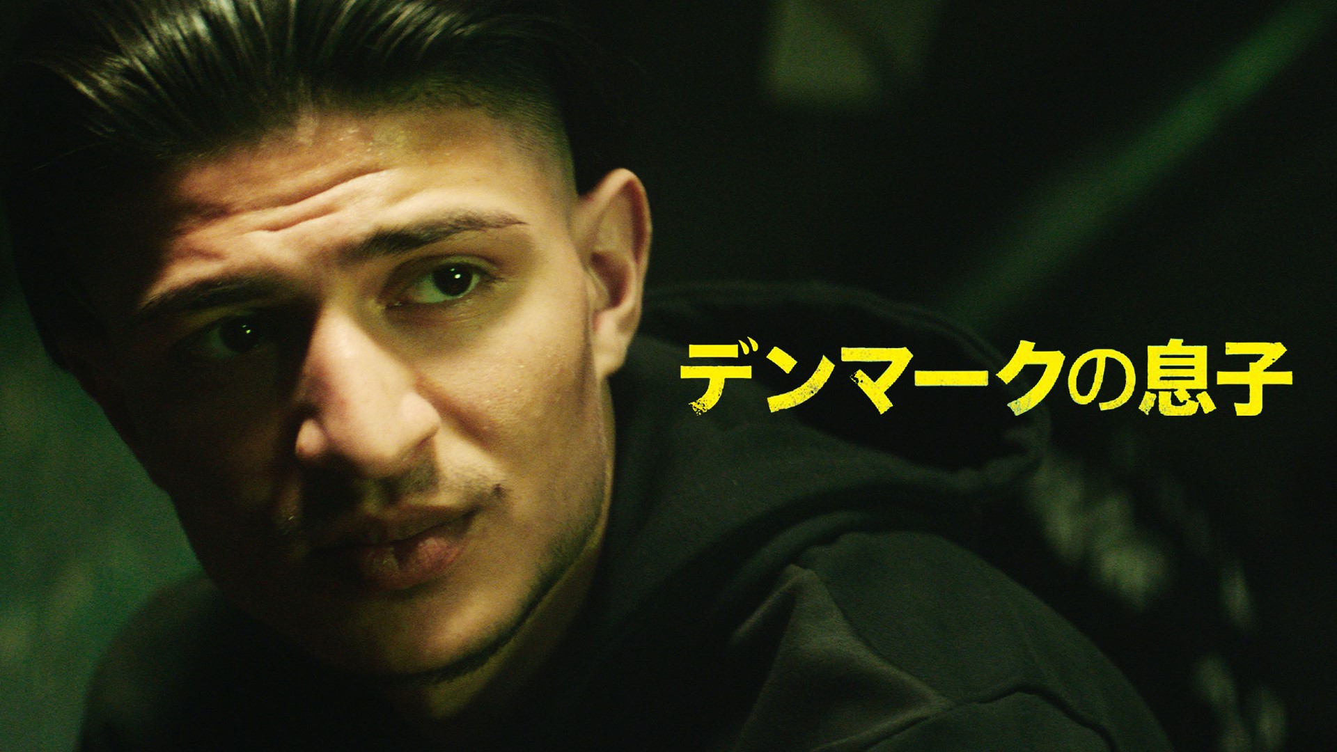 デンマークの息子