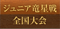 ジュニア竜星戦全国大会